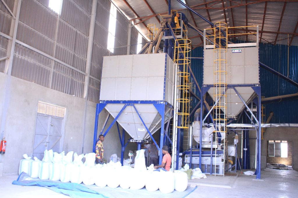 Coffee Grading Factory